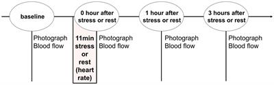 Effects of mild psychological stress on facial impressions